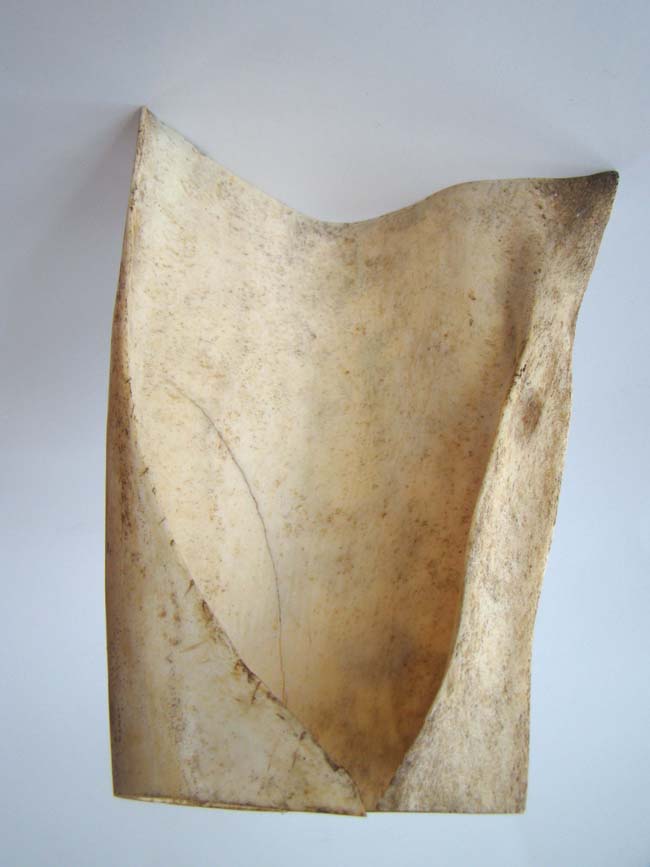 A very fine scrimshawed whales' panbone section (jawbone) depicting a lady, possibly Royaty, riding a horse, circa 1840 — image 3